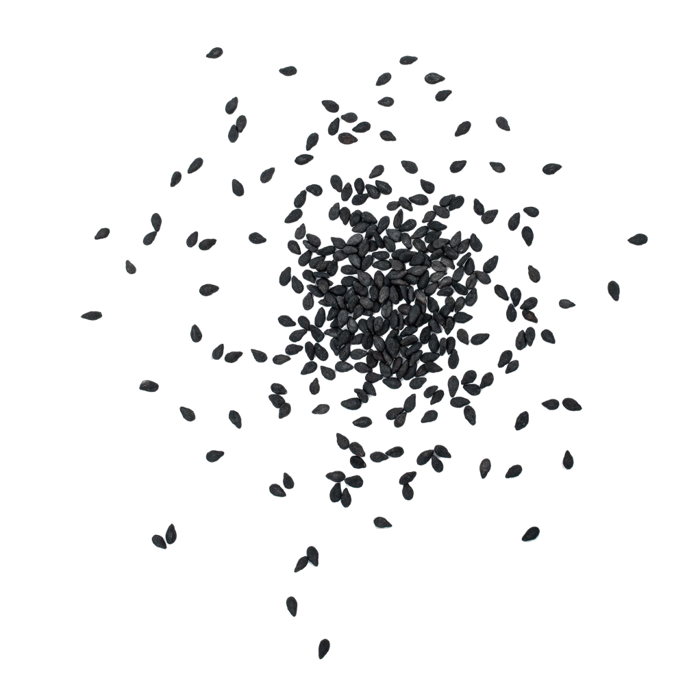 back_sesame